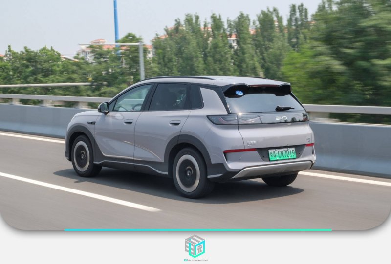 我市全力推动乡村整体振兴走在全省前列_